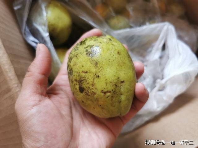 白吃白拿图标