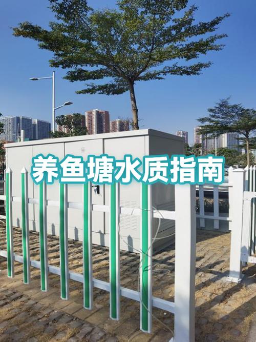鱼塘的水质怎么快速净化
