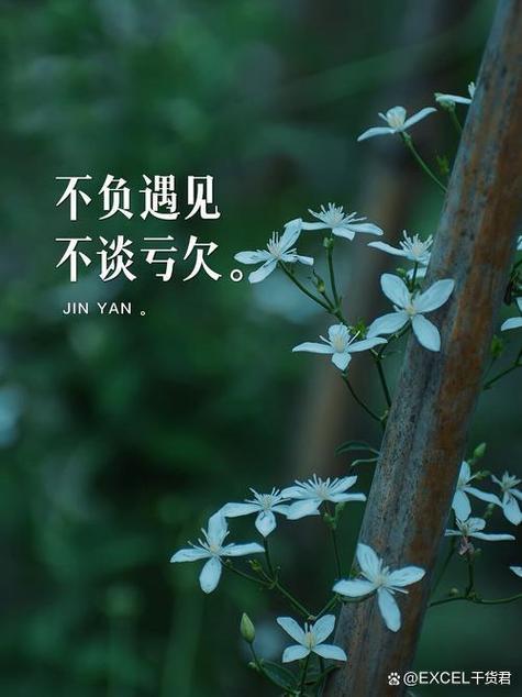 冷暖自知各自安好是什么意思