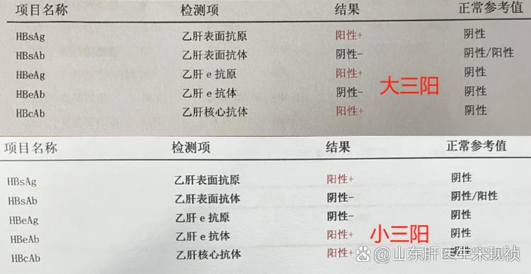 乙肝最新消息缩略图