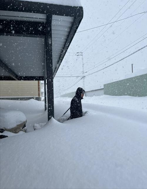 日本天气冷吗