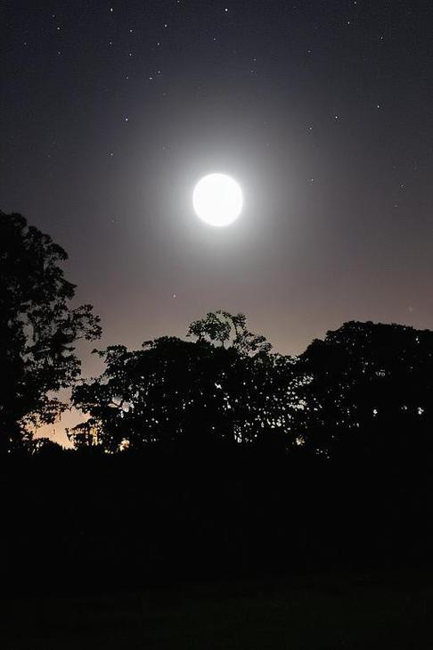 月亮夜景图片截图