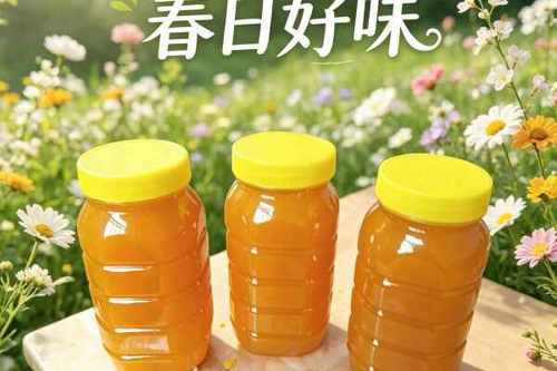春蜜什么时候取蜜最好