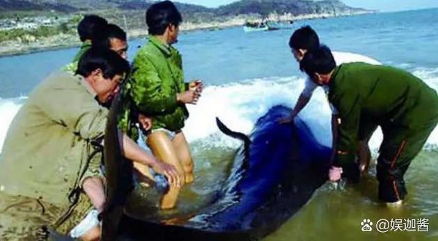 渔夫和鲸鱼的故事全文