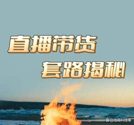 套路直播一直闪退图标