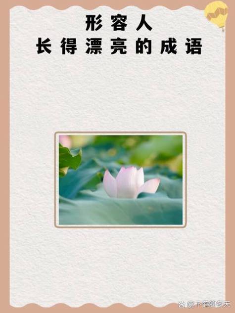 形容人简单纯粹的成语