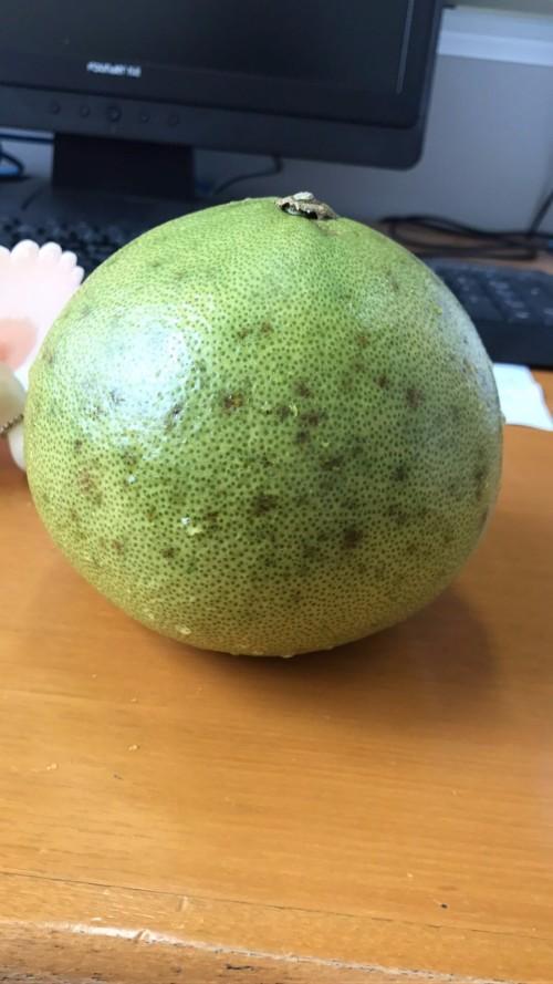 柚子里面黑色颗粒缩略图