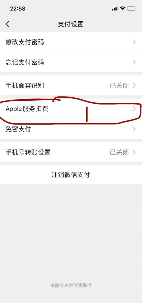 苹果支付扣款在哪里查询