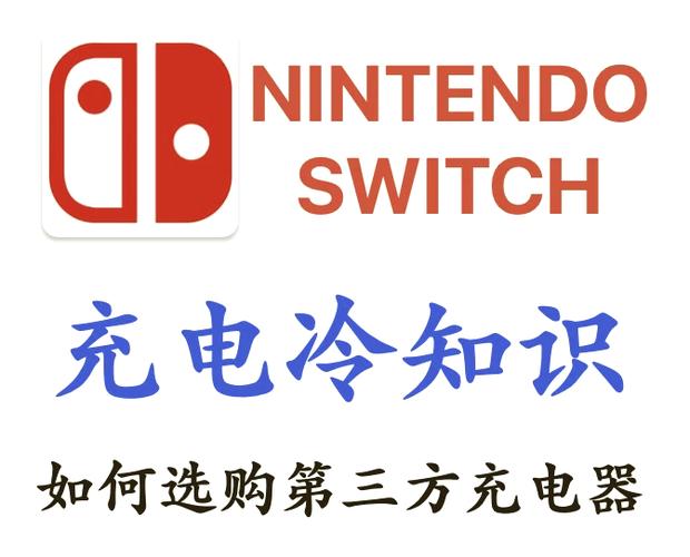switch充电器可以用什么代替