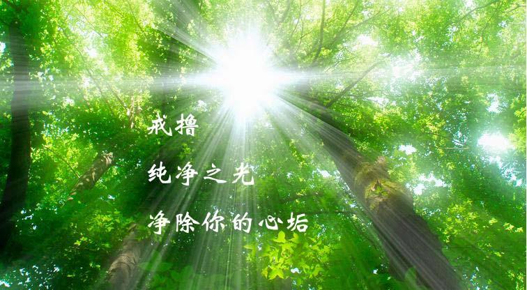 被送到戒网瘾学校怎么办