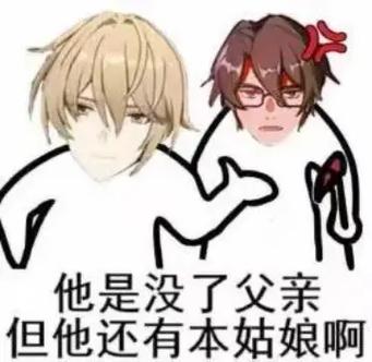 崩坏三梗图合集