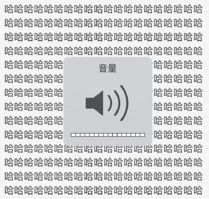 ipone音量最大但是没声音