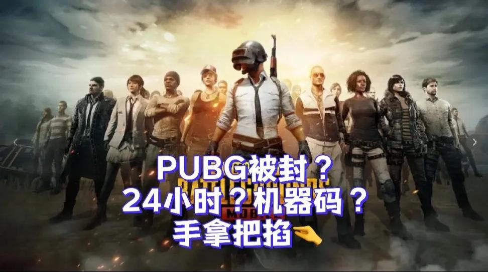 pUPg2025最新版本4.0