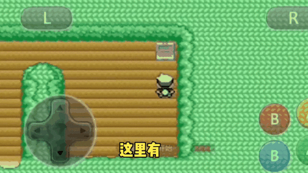 口袋妖怪沙沙岩石