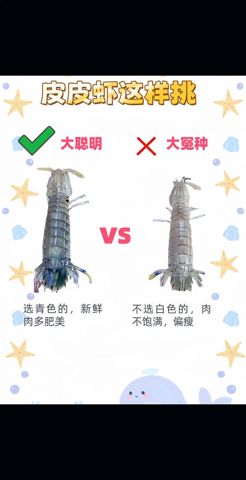 皮皮虾和虾哪个好吃