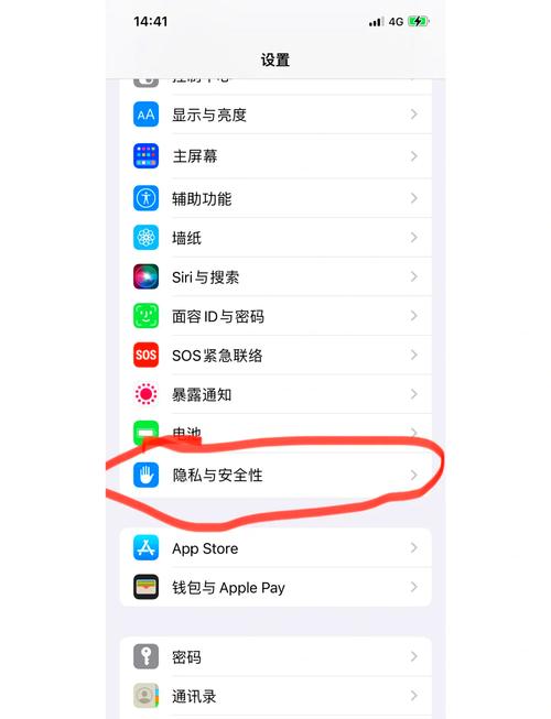 苹果ipad麦克风权限什么都没有