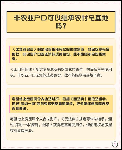 非农业户口可以继承宅基地吗