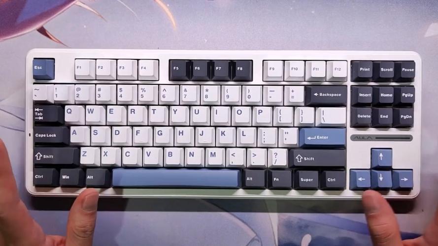 狼蛛机械键盘按键位置图游戏截图