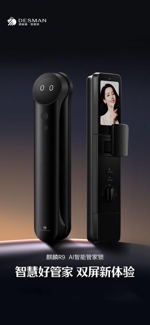 德施曼进入设置模式