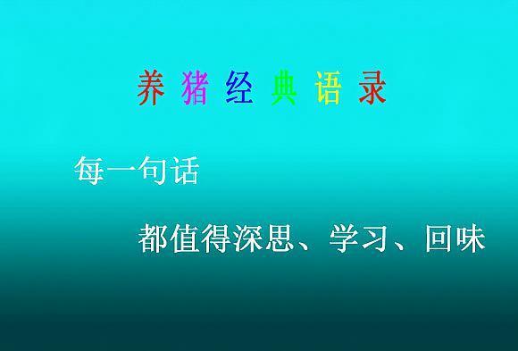 养猪经典语录截图