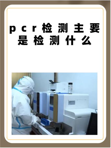 pcr检查主要检查什么项目