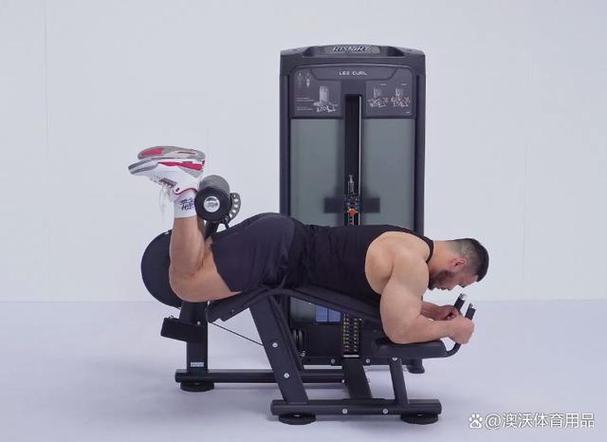 健身房器械使用和教学视频