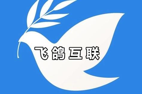飞鸽互联热线电话多少截图