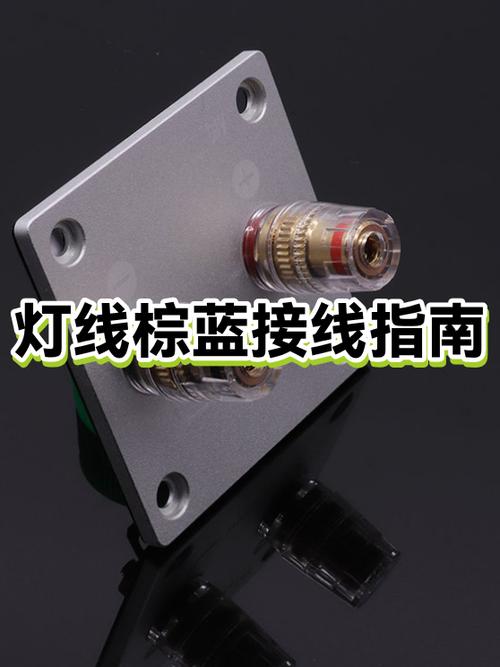 灯上一根蓝线一根棕线