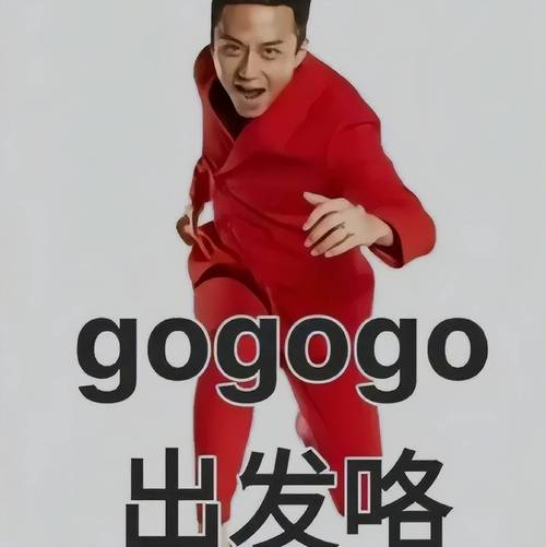 gogogo是加油的意思吗