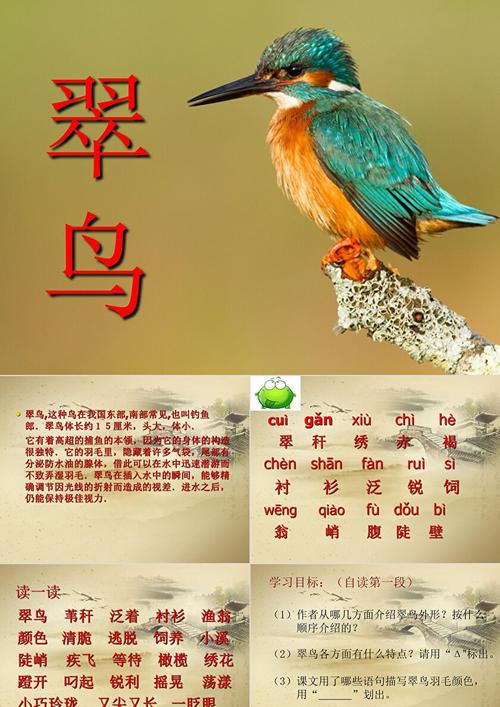 翠鸟作者