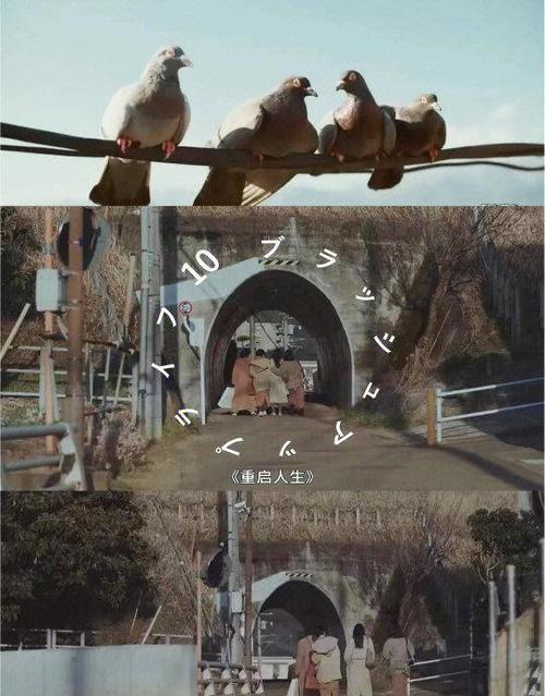 重启人生1安卓缩略图