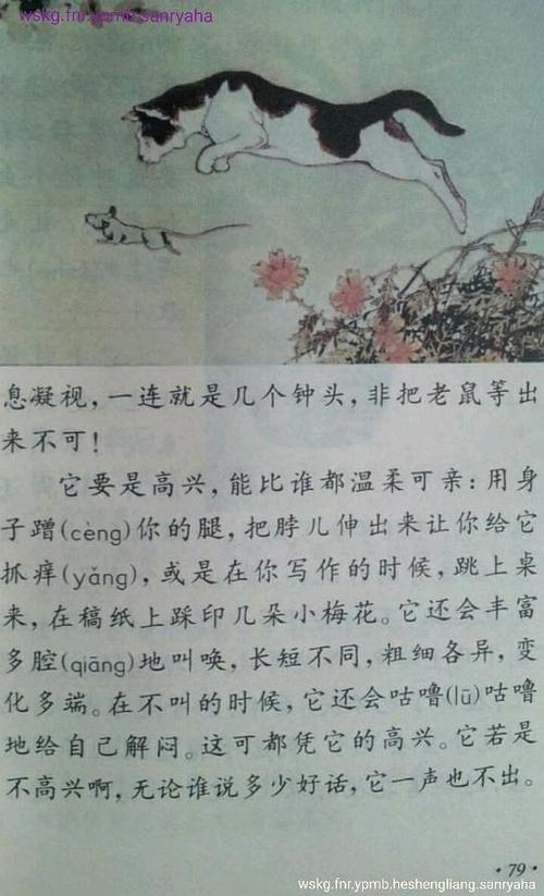 《我家的小猫》