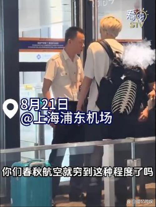 文章大闹机场是哪部戏