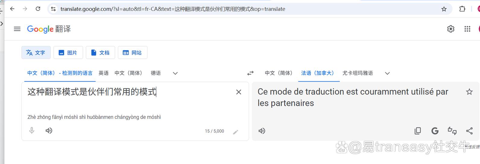 抖音翻译文字在哪里