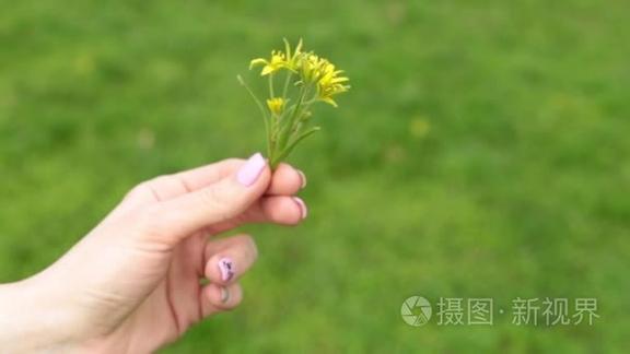 花手短视频