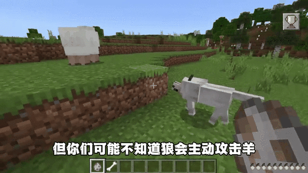 我的世界狼会攻击人吗