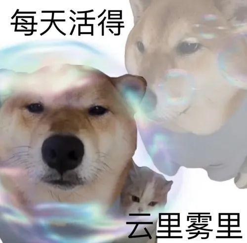 day emoji表情缩略图