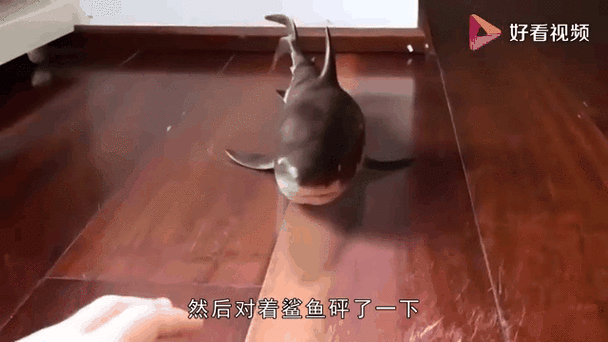 合成鲨鱼