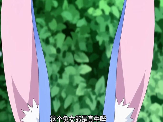 兔耳冒险谭兔女郎