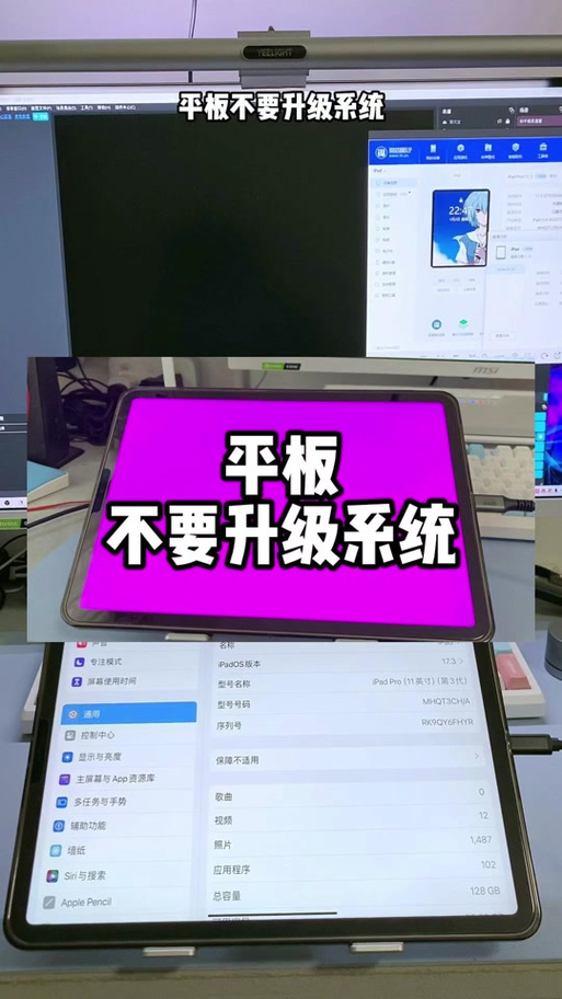 ipad闪退怎么关闭