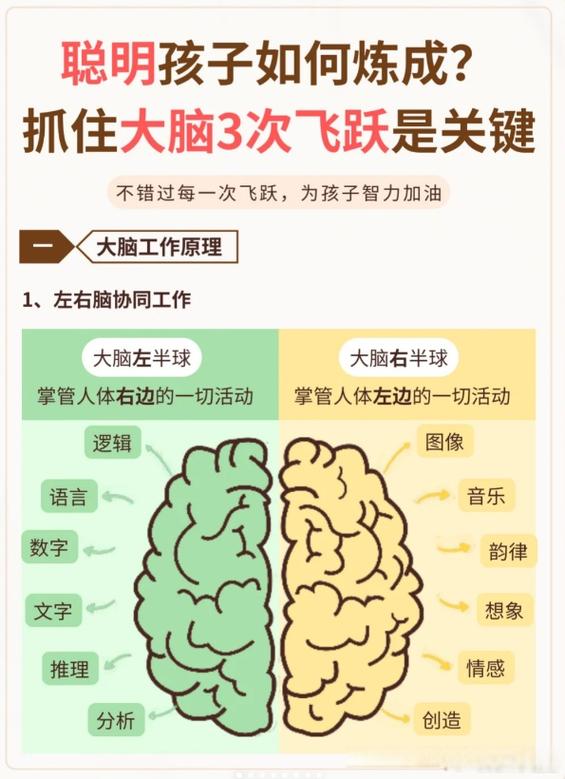 如何提升记忆能力