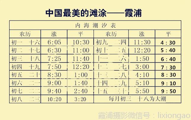 东方八所镇潮汐时间