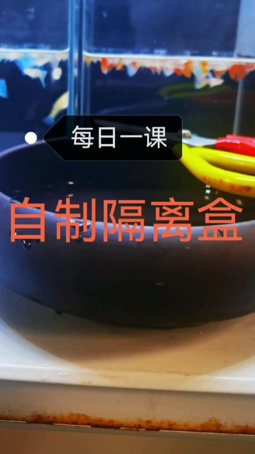 斗鱼盒子