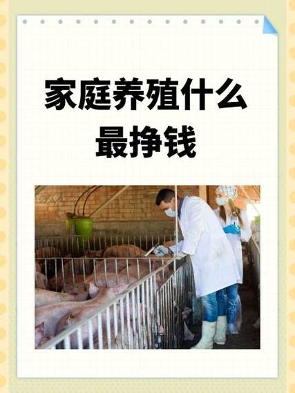 在家养什么能赚钱