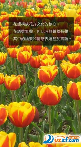 花语大全软件下载