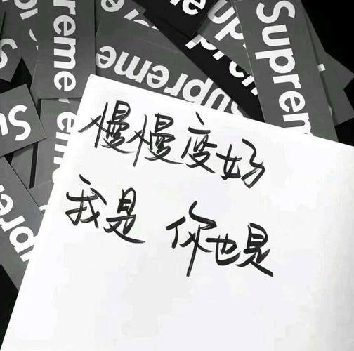 美图秀秀怎么改图片文字图标