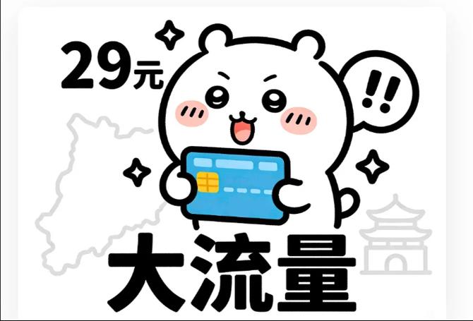 无限流量卡头像