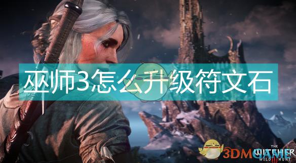 巫师3 符文石缩略图