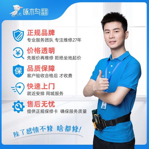 啄木鸟维修师傅接单版