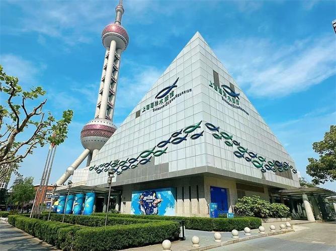 上海海洋水族馆现在开放了吗